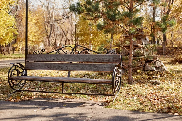 秋天公园干燥的天气在照片舒适的长椅上 — 图库照片