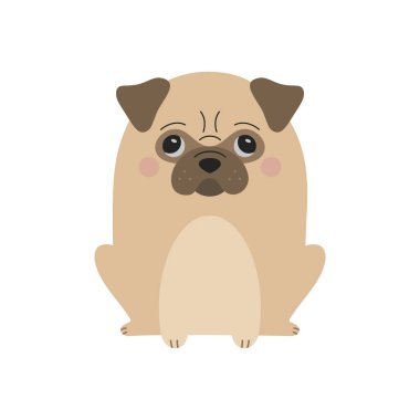 Sevimli bej pug köpek vektör çizimi. Sevimli ve komik köpek yavrusu..