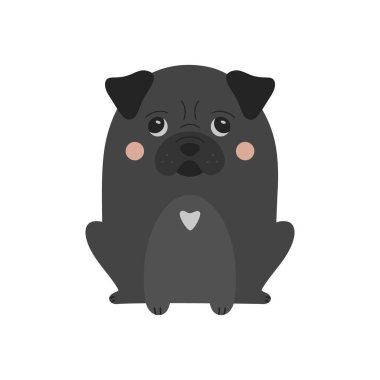 Şirin siyah pug köpek vektör çizimi. Sevimli ve komik köpek yavrusu..
