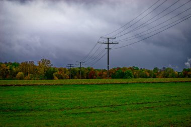 Bavyera 'da güzel bir sonbahar günü