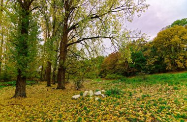 Bavyera 'da güzel bir sonbahar günü
