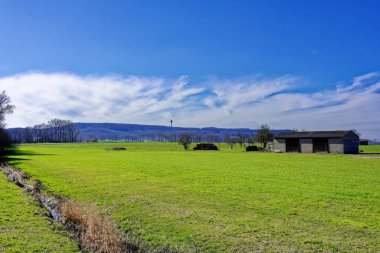 Bavyera 'nın güzel bahar tarlaları