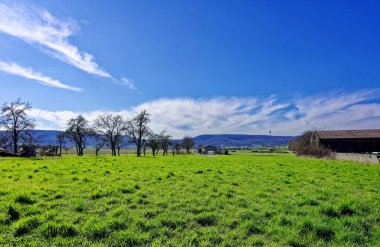 Bavyera 'nın güzel bahar tarlaları