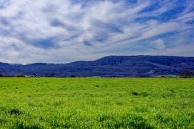 Bavyera 'nın güzel bahar tarlaları