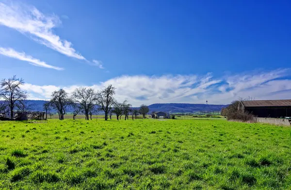 Bavyera 'nın güzel bahar tarlaları