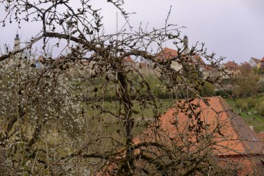 Rothenburg ob der Tauber Ortaçağ kasabasında bahar günü. 