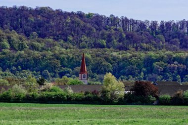 Bavyera 'nın güzel bahar tarlaları