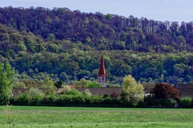 Bavyera 'nın güzel bahar tarlaları