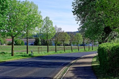 Bavyera 'nın güzel bahar tarlaları