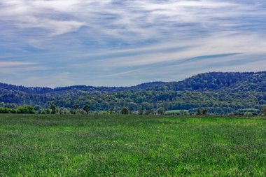 Bavyera 'nın güzel bahar tarlaları