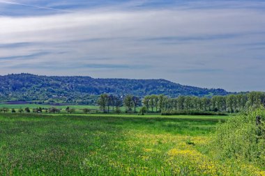 Bavyera 'nın güzel bahar tarlaları