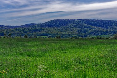 Bavyera 'nın güzel bahar tarlaları