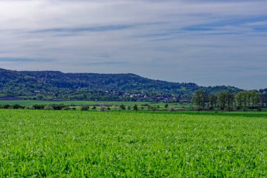 Bavyera 'nın güzel bahar tarlaları