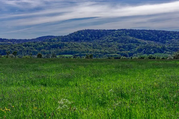 Bavyera 'nın güzel bahar tarlaları