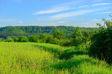 Güzel yaz Bavyera 'nın sakin manzaraları. 
