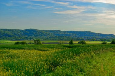 Güzel yaz Bavyera 'nın sakin manzaraları. 