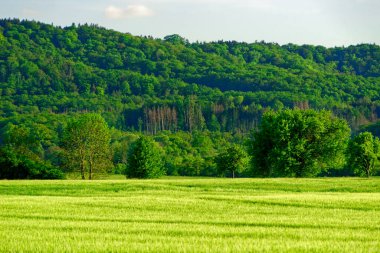 Güzel yaz Bavyera 'nın sakin manzaraları. 