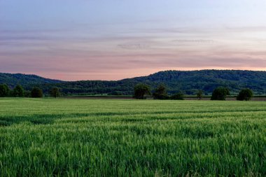 Güzel yaz Bavyera 'nın sakin manzaraları. 