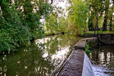 Bavyera 'nın Neustadt şehrinde sonbahar geldi.
