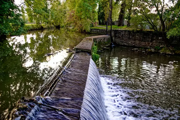 Bavyera 'nın Neustadt şehrinde sonbahar geldi.