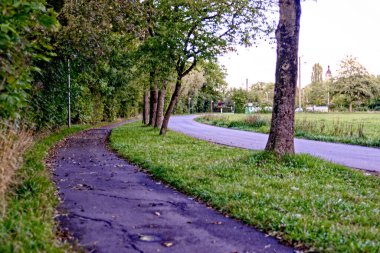 Bavyera 'nın Neustadt şehrinde sonbahar geldi.