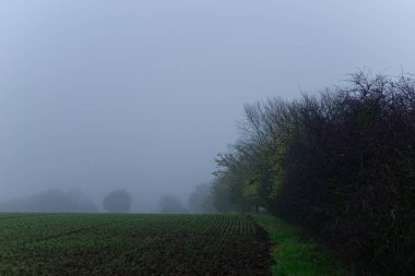 Şehrin dışındaki sis bulutlu bir sonbahar gününde Bavyera 'da.