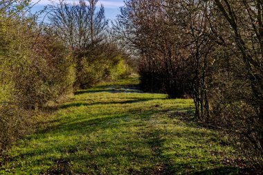 Bovaria 'da soğuk kış güneşli sabahı 