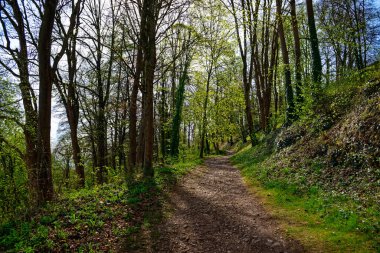 Antik Eichstatt şehrinde güzel bir sabah
