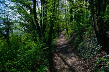 Antik Eichstatt şehrinde güzel bir sabah