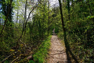 Antik Eichstatt şehrinde güzel bir sabah