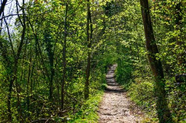 Antik Eichstatt şehrinde güzel bir sabah