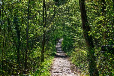 Antik Eichstatt şehrinde güzel bir sabah