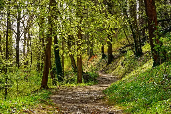 Antik Eichstatt şehrinde güzel bir sabah