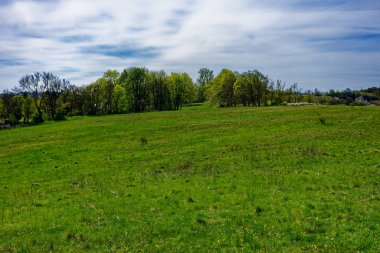 Antik Eichstatt şehrinde güzel bir sabah
