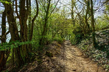 Antik Eichstatt şehrinde güzel bir sabah