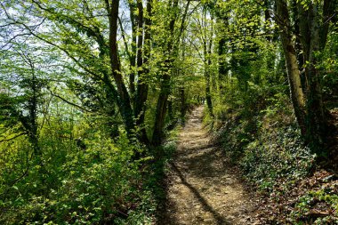 Antik Eichstatt şehrinde güzel bir sabah