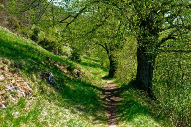 Dollnstein antik şehrinde güzel bir gün