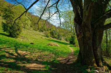 Dollnstein antik şehrinde güzel bir gün