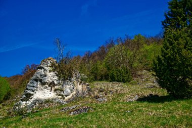 Dollnstein antik şehrinde güzel bir gün