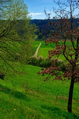 Dollnstein antik şehrinde güzel bir gün
