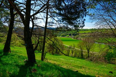 Dollnstein antik şehrinde güzel bir gün