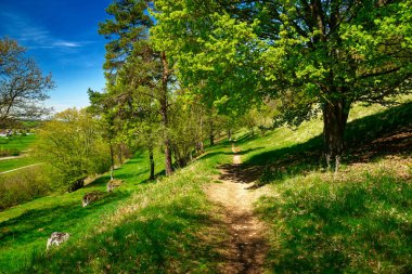 Dollnstein antik şehrinde güzel bir gün