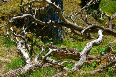 Dollnstein antik şehrinde güzel bir gün