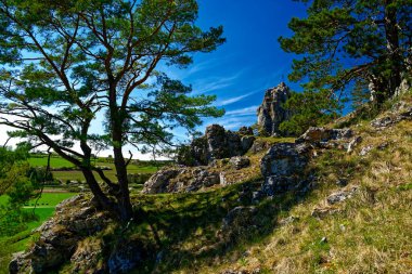 Dollnstein antik şehrinde güzel bir gün