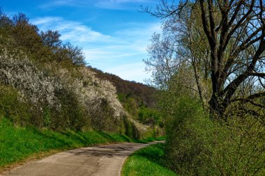 Dollnstein antik şehrinde güzel bir gün