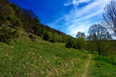 Dollnstein antik şehrinde güzel bir gün