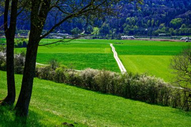 Dollnstein antik şehrinde güzel bir gün