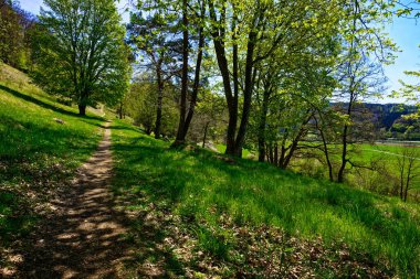 Dollnstein antik şehrinde güzel bir gün