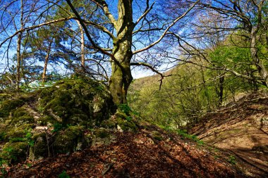 Dollnstein antik şehrinde güzel bir gün