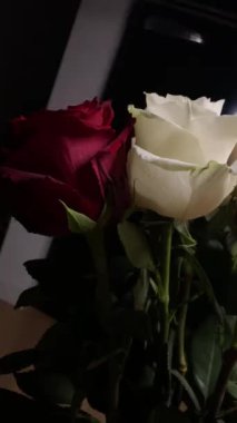 Pembe güllerin büyüleyici güzelliğine yakından hayranlık duyun. Hassas taç yaprakları ve parlak renkleri sığ bir alan derinliği ve koyu bir arkaplan üzerine vurgulanmış..